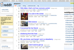 Reddit screen
